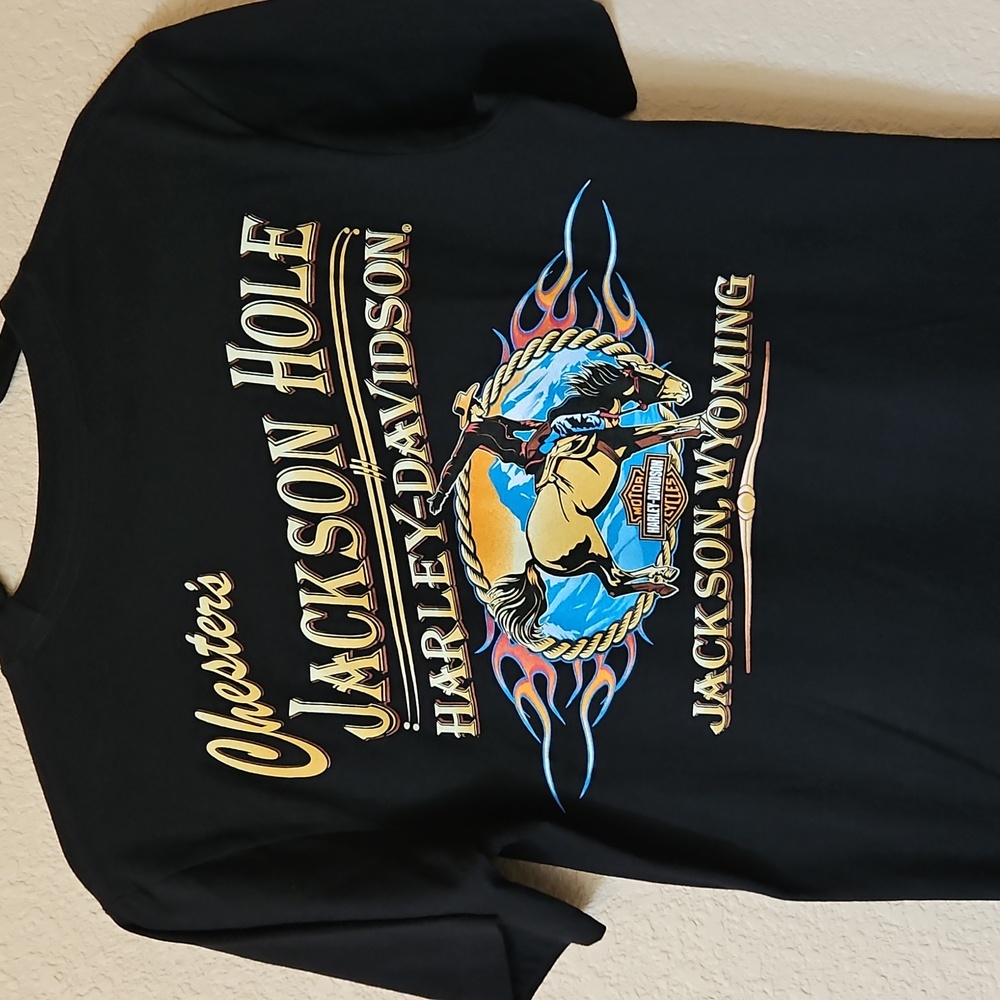 Harley-Davidson Tee Chester's Jackson Hole H-D💖💖💖NWOT